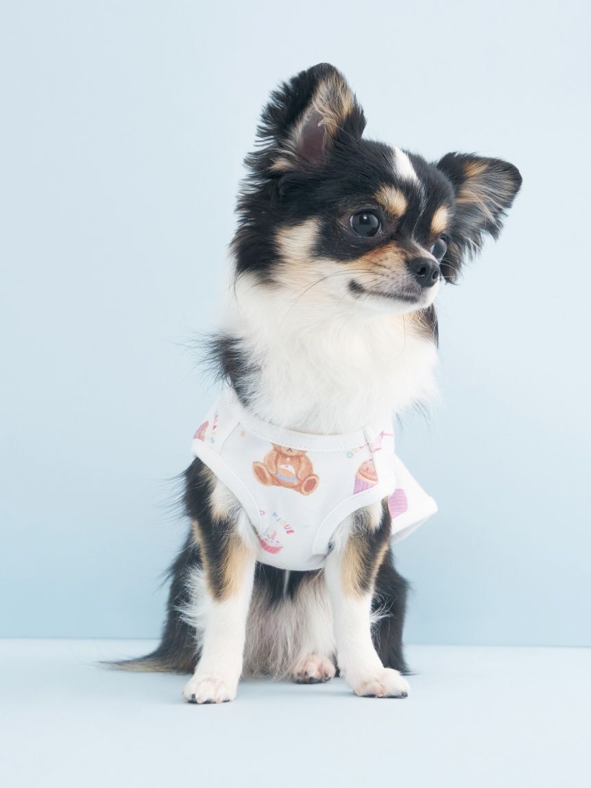  GELATO PIQUE CAT&DOG「【CAT&DOG】【Birthday】バースデー柄プルオーバー」|その他|