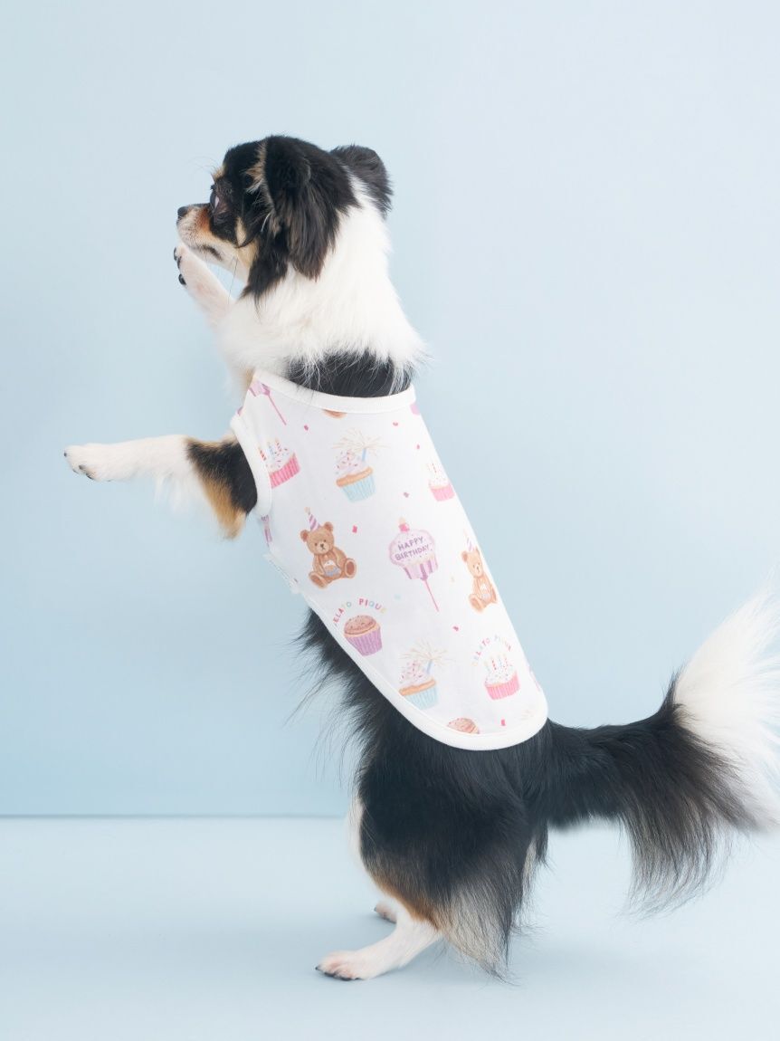  GELATO PIQUE CAT&DOG「【CAT&DOG】【Birthday】バースデー柄プルオーバー」|その他|