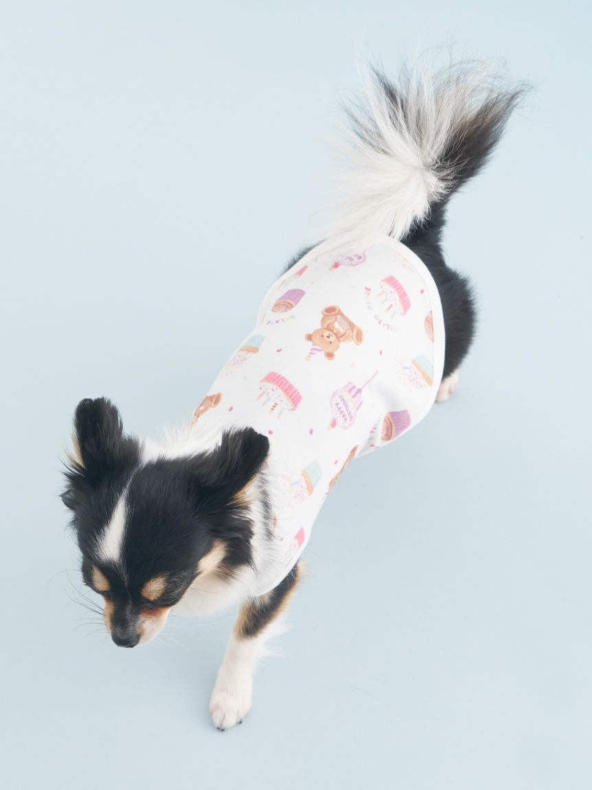  GELATO PIQUE CAT&DOG「【CAT&DOG】【Birthday】バースデー柄プルオーバー」|その他|