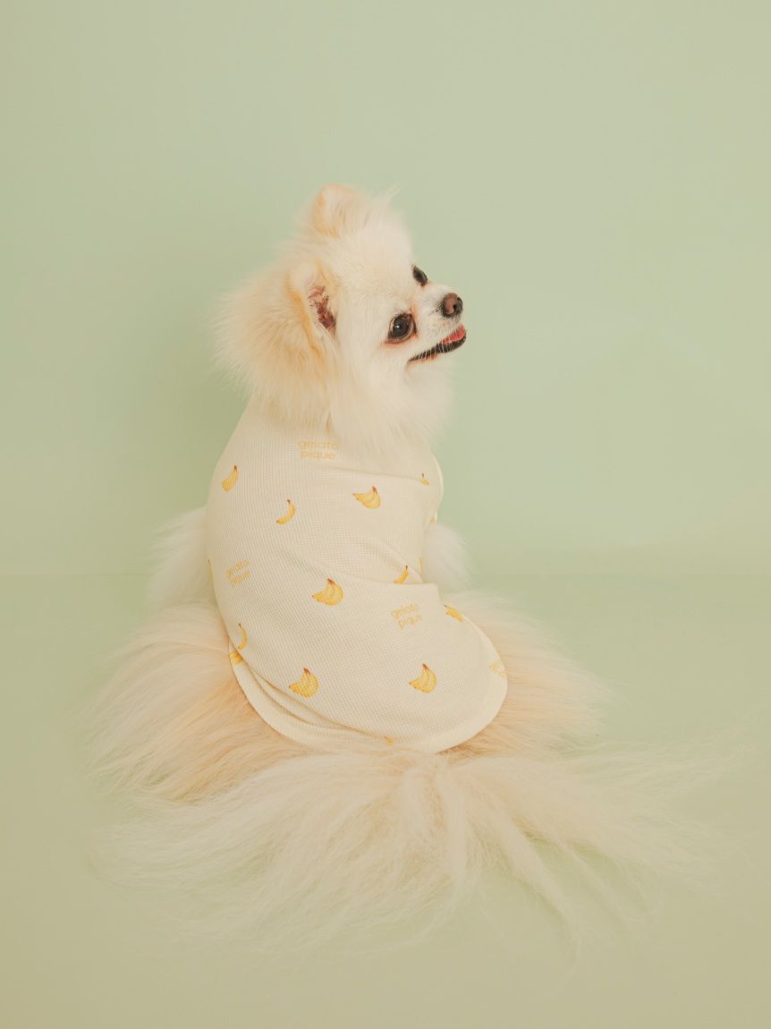  GELATO PIQUE CAT&DOG「【CAT&DOG】フルーツ柄ワッフルカットソープルオーバー」|その他|