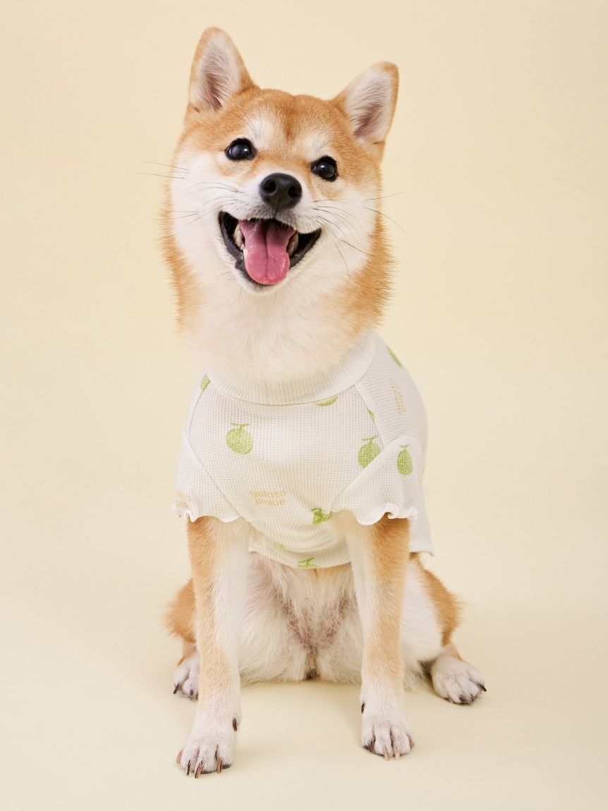  GELATO PIQUE CAT&DOG「【CAT&DOG】フルーツ柄ワッフルカットソープルオーバー」|その他|