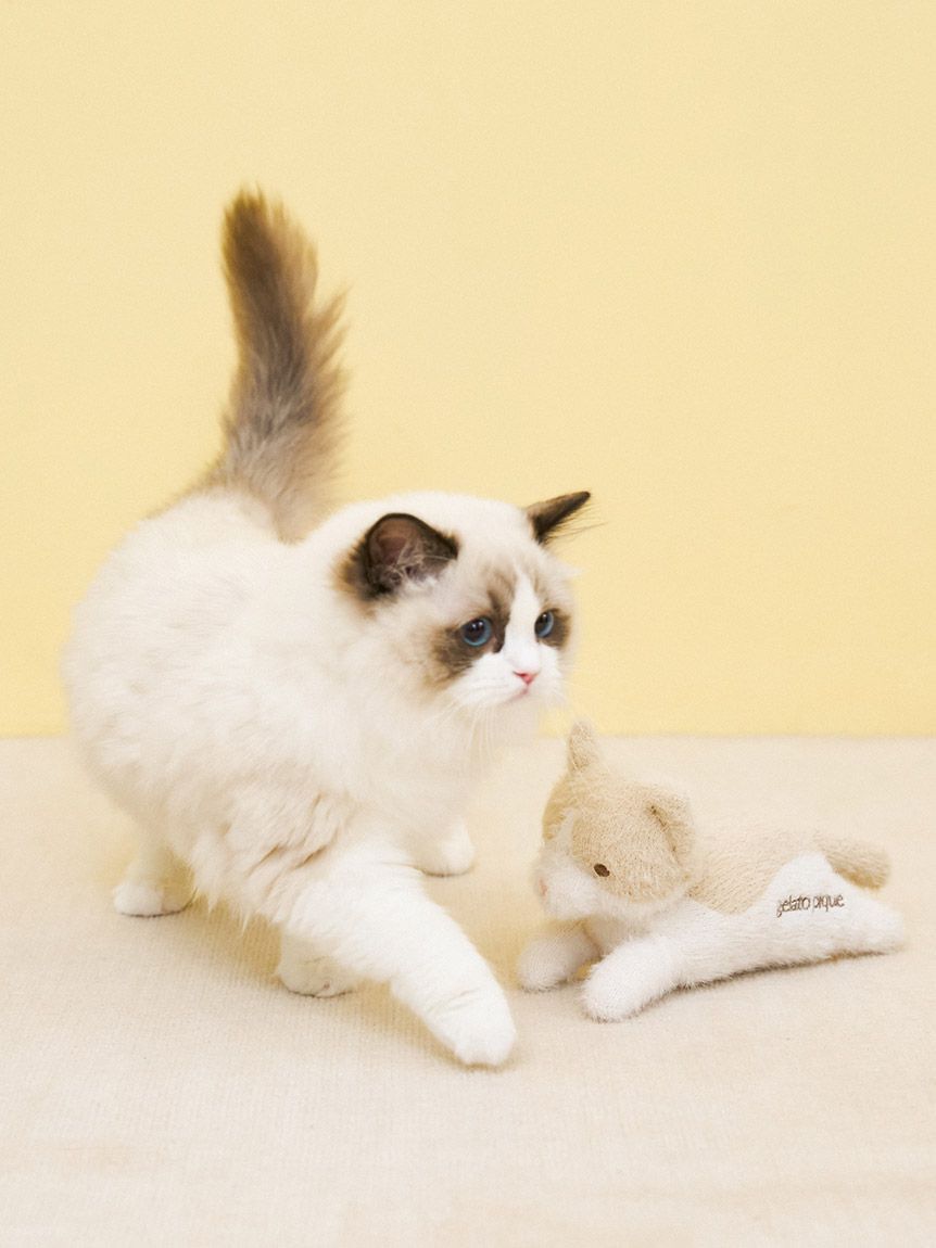 gelato pique「キャットフェザーぬいぐるみ」|その他|