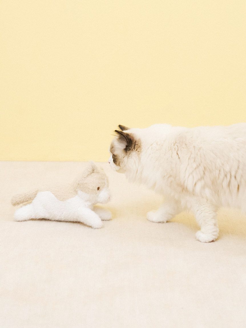 gelato pique「キャットフェザーぬいぐるみ」|その他|