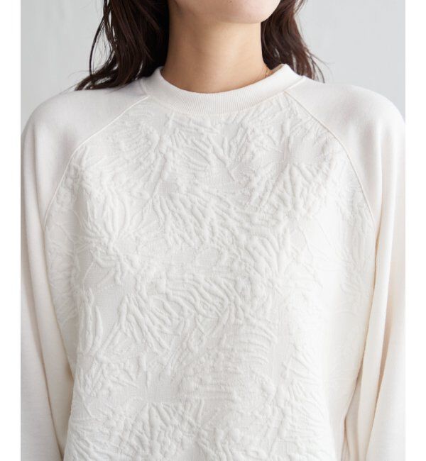 ikka「アートジャガードラグランプルオーバー」|その他|