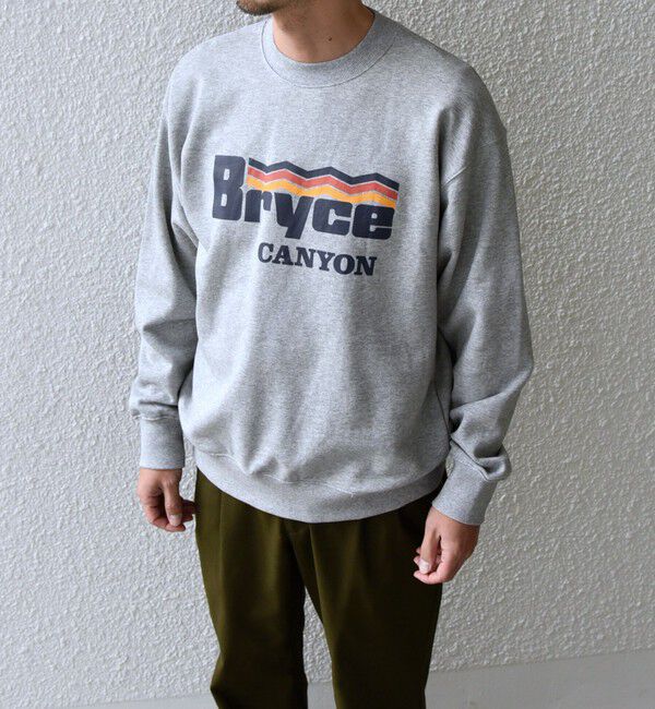 SHIPS any「【WEB限定】SHIPS any: NATIONAL PARK プリント スウェット 24FW (ユニセックス)◇」|スウェット・ジャージ|