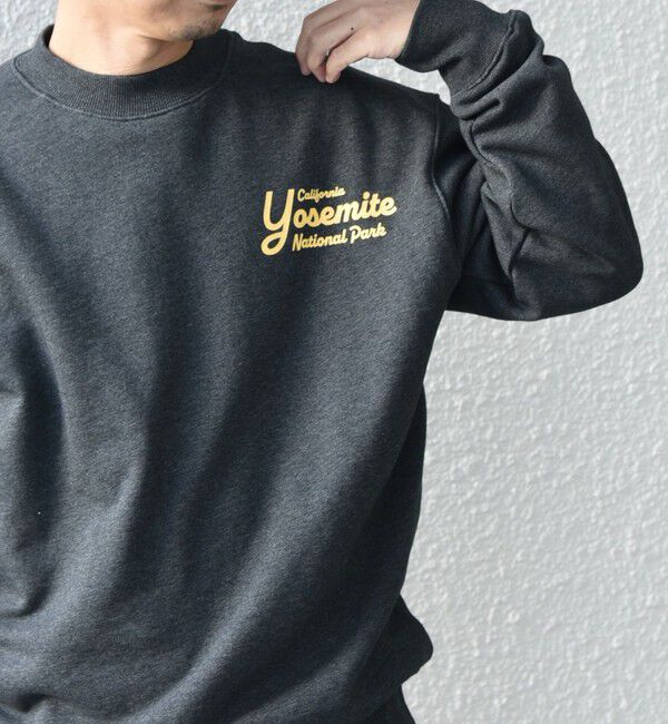 SHIPS any「【WEB限定】SHIPS any: NATIONAL PARK プリント スウェット 24FW (ユニセックス)◇」|スウェット・ジャージ|ダークグレー