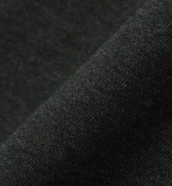 SHIPS any「【WEB限定】SHIPS any: NATIONAL PARK プリント スウェット 24FW (ユニセックス)◇」|スウェット・ジャージ|