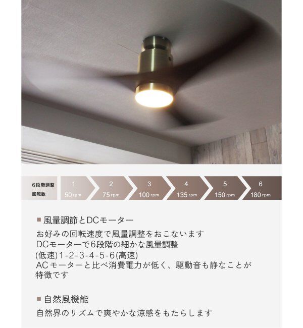 journal standard Furniture「シーリングファンライト」|その他|