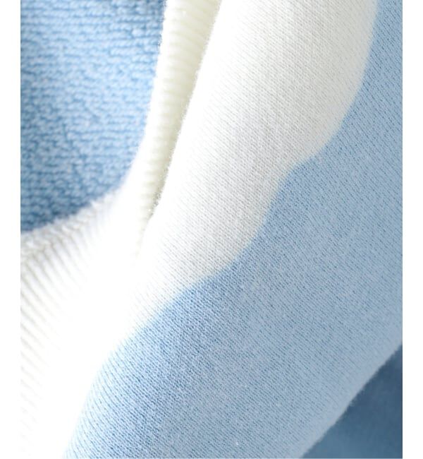 JOURNAL STANDARD「NOMARHYTHM TEXTILE / ノーマリズム テキスタイル Hand Dye Reverse Twist Sweat」|スウェット・ジャージ|