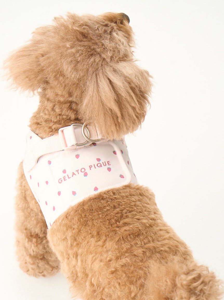  GELATO PIQUE CAT&DOG「【CAT&DOG】【販路限定商品】モチーフ柄ハーネス」|その他|