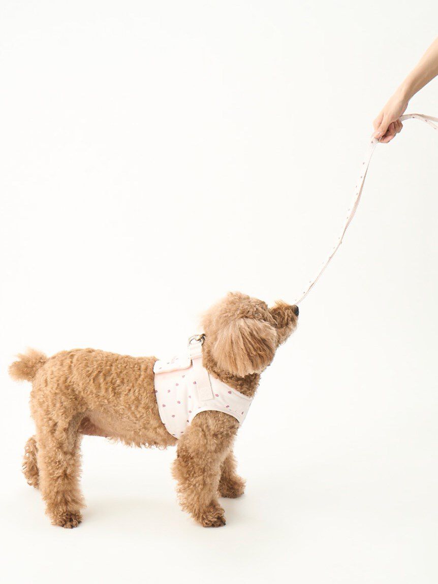  GELATO PIQUE CAT&DOG「【CAT&DOG】【販路限定商品】モチーフ柄ハーネス」|その他|