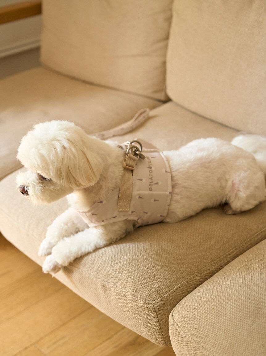 GELATO PIQUE CAT&DOG「【CAT&DOG】【販路限定商品】モチーフ柄ハーネス」|その他|