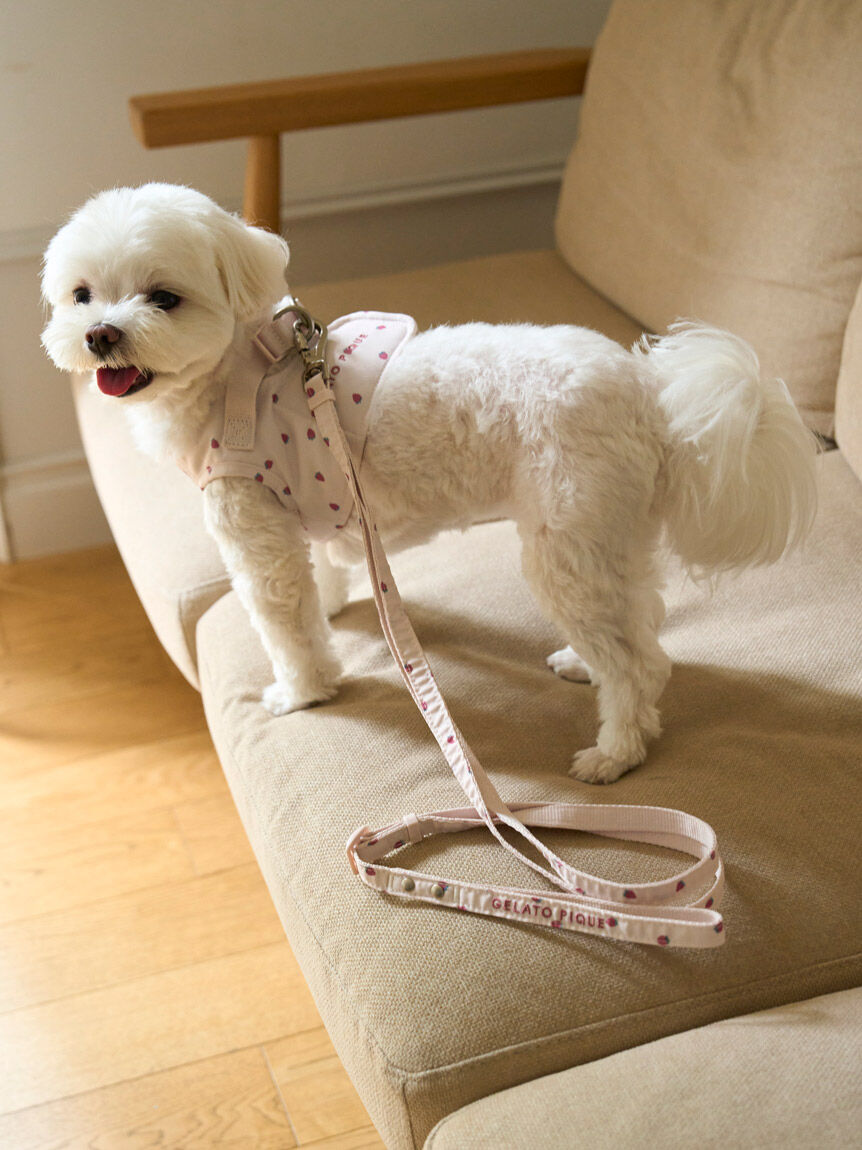  GELATO PIQUE CAT&DOG「【CAT&DOG】【販路限定商品】モチーフ柄ハーネス」|その他|