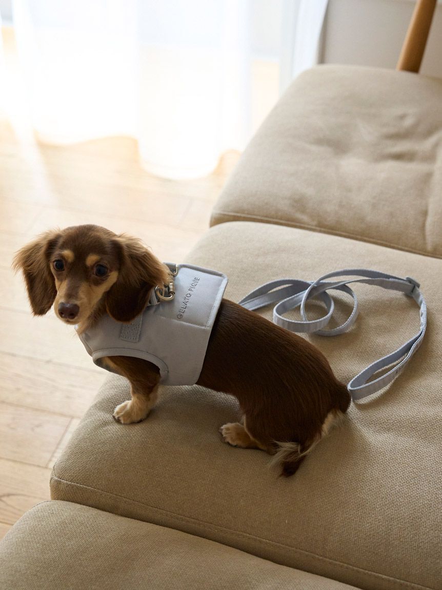  GELATO PIQUE CAT&DOG「【CAT&DOG】【販路限定商品】リード」|その他|