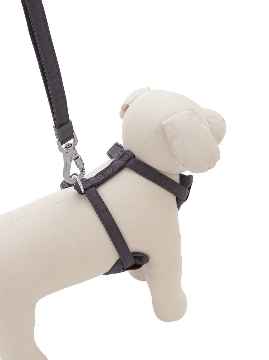  GELATO PIQUE CAT&DOG「【CAT&DOG】【販路限定商品】リード」|その他|