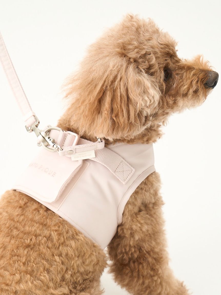  GELATO PIQUE CAT&DOG「【CAT&DOG】【販路限定商品】リード」|その他|