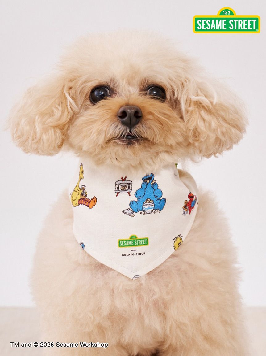  GELATO PIQUE CAT&DOG「【SESAME STREET】【CAT＆DOG】バンダナ」|その他|OWHT