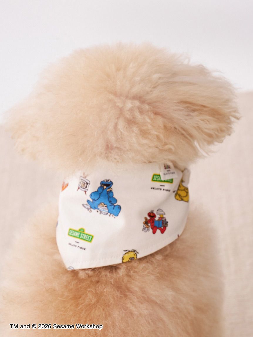  GELATO PIQUE CAT&DOG「【SESAME STREET】【CAT＆DOG】バンダナ」|その他|
