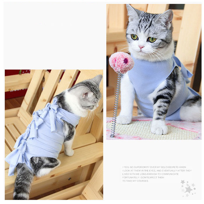 BACKYARD FAMILY「猫 術後服 通販 服 ねこ 傷舐め防止 手術後 エリザベスカラー の代用 洋服 ウェア 術後ウェア」|その他|
