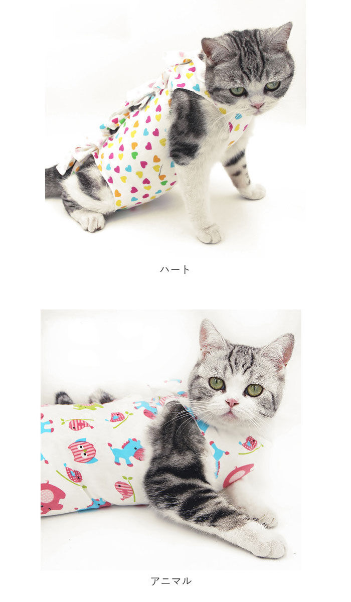 BACKYARD FAMILY「猫 術後服 通販 服 ねこ 傷舐め防止 手術後 エリザベスカラー の代用 洋服 ウェア 術後ウェア」|その他|