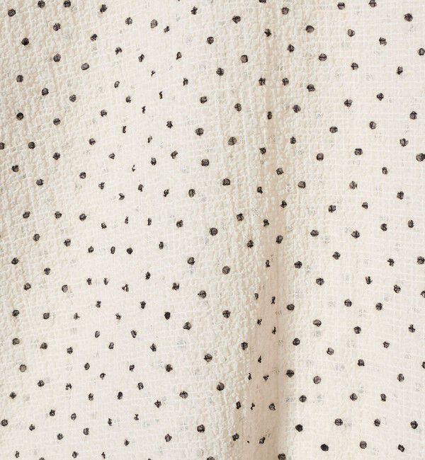 BEAUTY&YOUTH UNITED ARROWS「ポリエステル ドット シアー ブラウス ウォッシャブル」|シャツ・ブラウス|