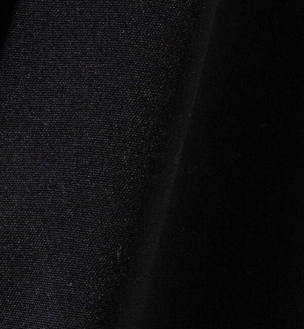 GLOSTER「【セットアップ対応】ウールライクワイドパンツ」|チノ|