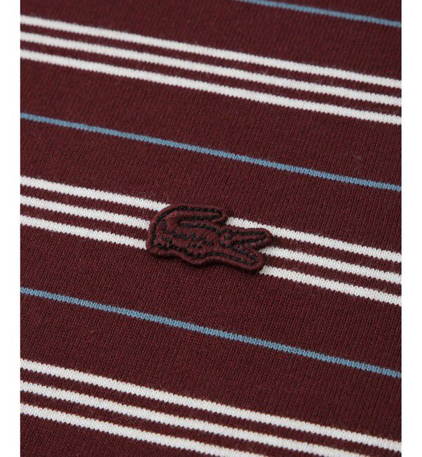 ADAM ET ROPE'「【LACOSTE for ADAM ET ROPE'】別注 MULTI BORDER TEE」|Tシャツ・カットソー|