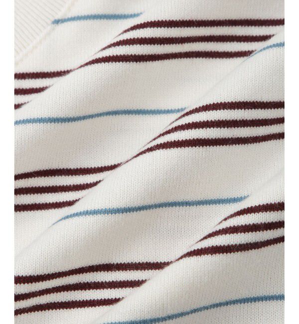 ADAM ET ROPE'「【LACOSTE for ADAM ET ROPE'】別注 MULTI BORDER TEE」|Tシャツ・カットソー|