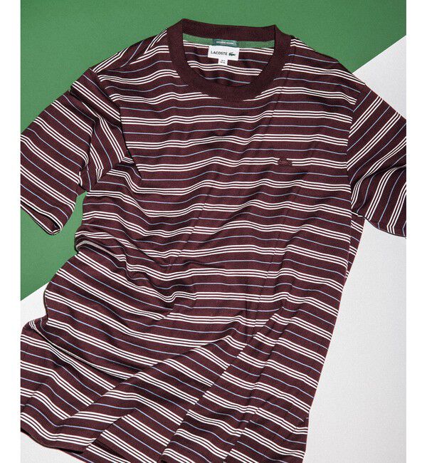ADAM ET ROPE'「【LACOSTE for ADAM ET ROPE'】別注 MULTI BORDER TEE」|Tシャツ・カットソー|ワイン系(67)