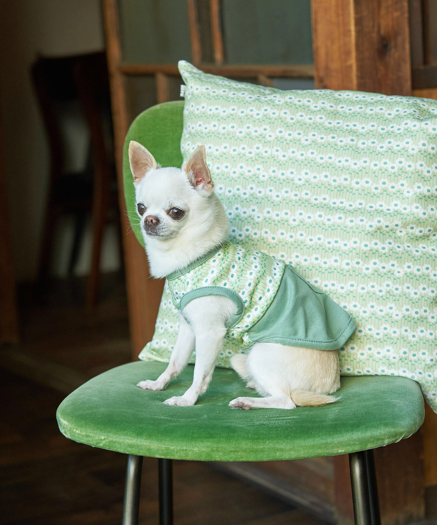 ROPE PICNIC PASSAGE「アデリアレトロ&times;ROPE' PICNIC/レトロ柄クッション」|クッション・クッションカバー|