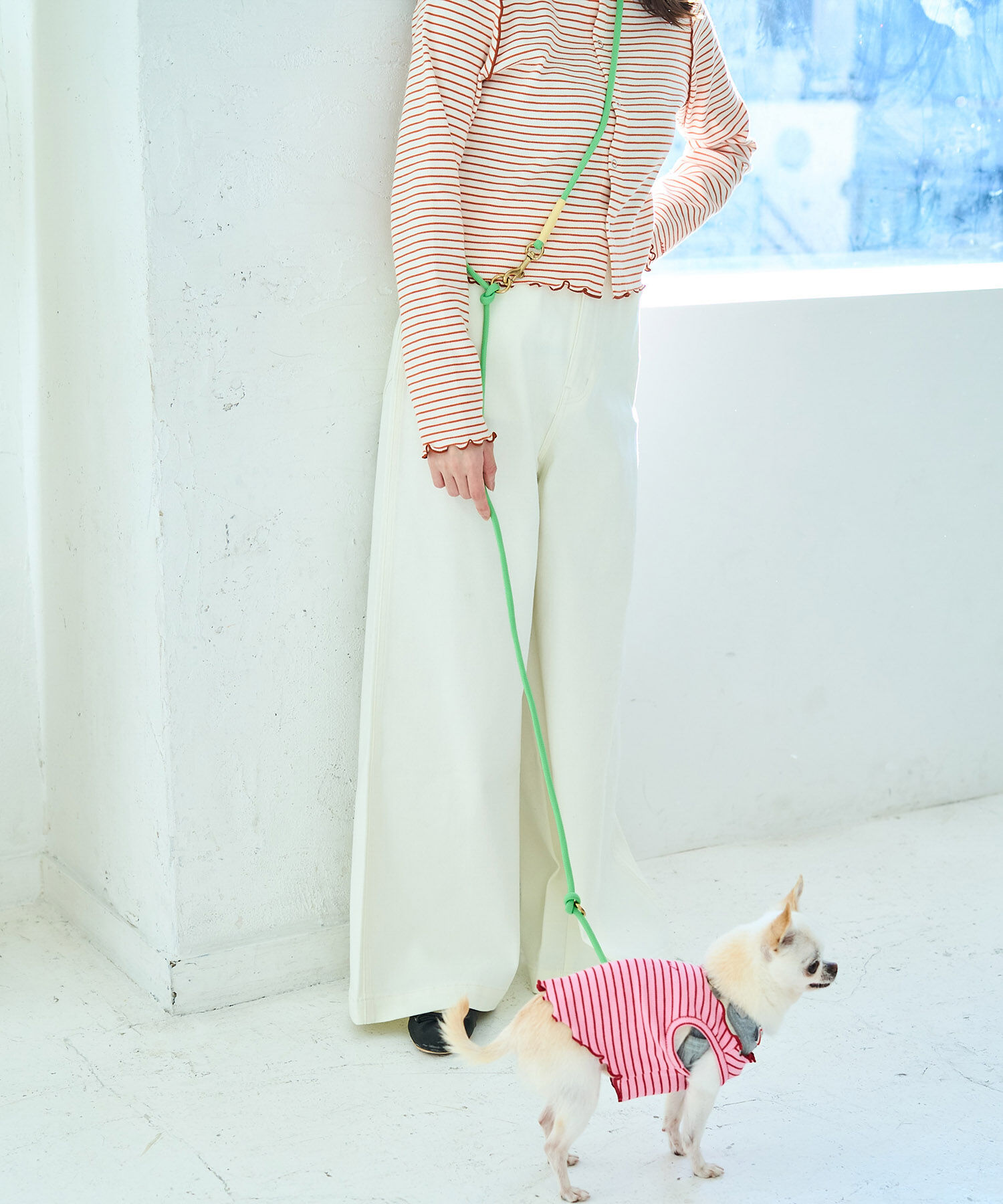 ROPE PICNIC PASSAGE「【DOG】ハンズフリーリードロング」|その他|