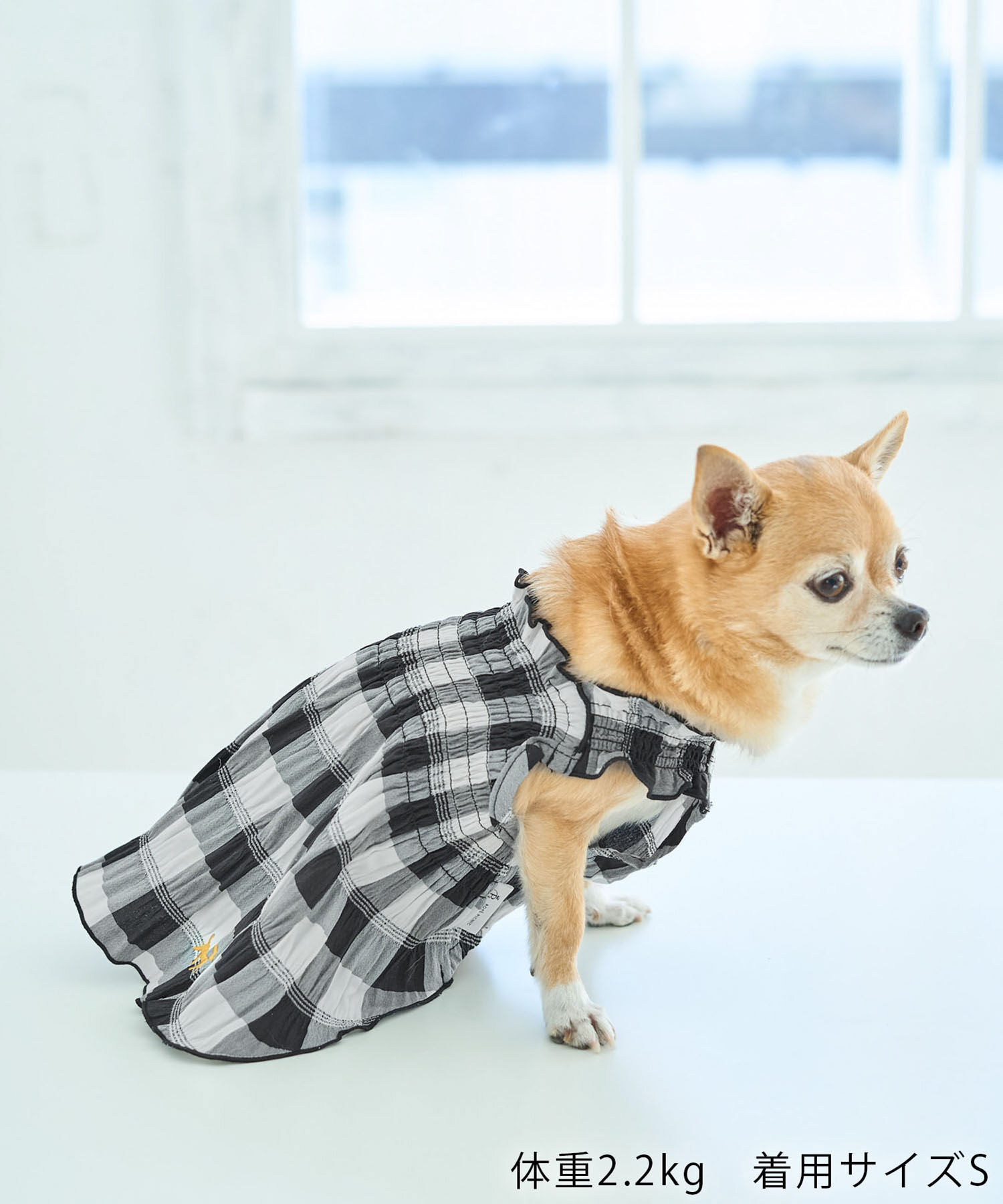 ROPE PICNIC PASSAGE「【DOG】ギンガムチェック柄ワンピース」|その他|