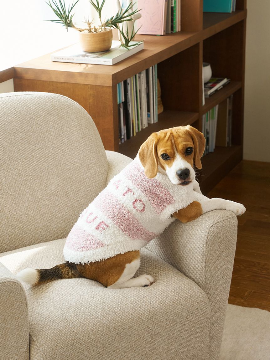  GELATO PIQUE CAT&DOG「【CAT&DOG】ラージサイズジェラートメランジ2ボーダープルオーバー」|その他|