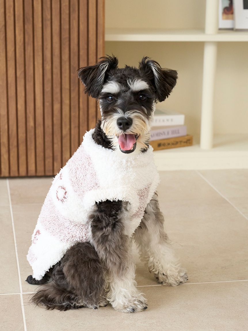  GELATO PIQUE CAT&DOG「【CAT&DOG】ラージサイズジェラートメランジ2ボーダープルオーバー」|その他|