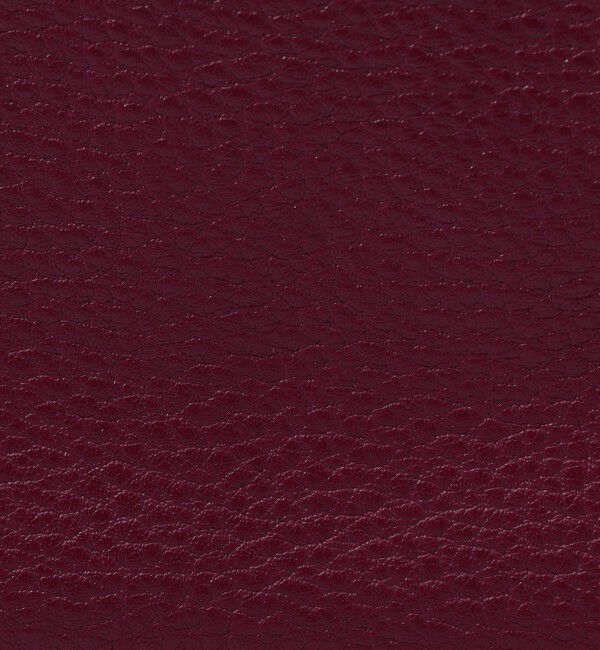 TOMORROWLAND GOODS「TOMORROWLAND シュリンクレザー ミニショルダーバッグ」|ショルダー・メッセンジャー|