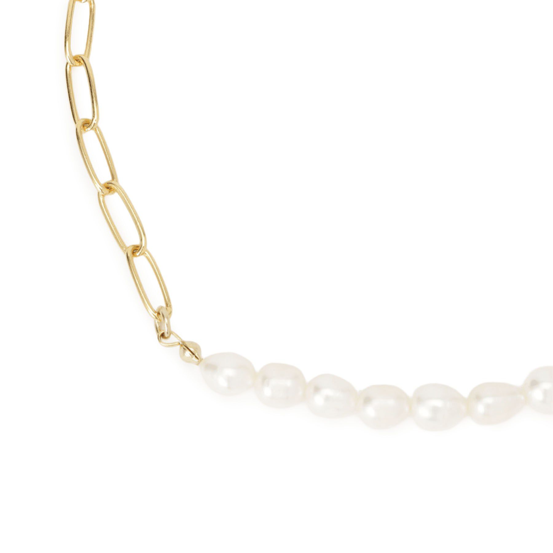 DRESSTERIOR「淡水パール&times;チェーンネックレス」|ネックレス|