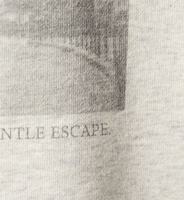 UNITED ARROWS green label relaxing「【WEB限定】＜at ease＞フォト プリント スウェット プルオーバー」|スウェット・ジャージ|