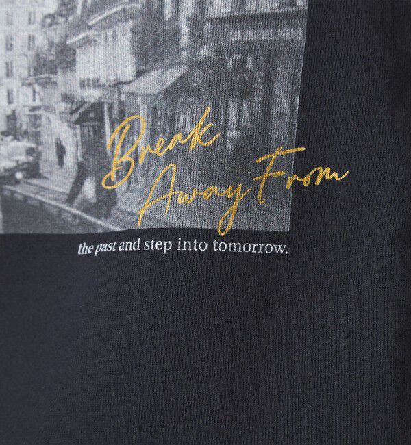 UNITED ARROWS green label relaxing「【WEB限定】＜at ease＞フォト プリント スウェット プルオーバー」|スウェット・ジャージ|