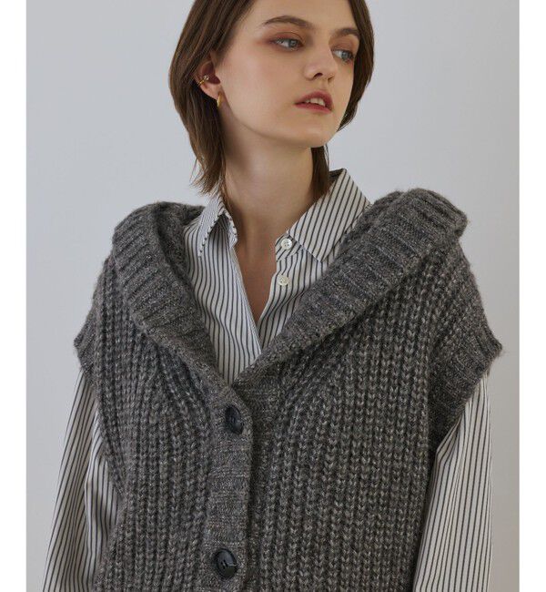 Diagram「ラメニットベスト」|ベスト・ジレ|