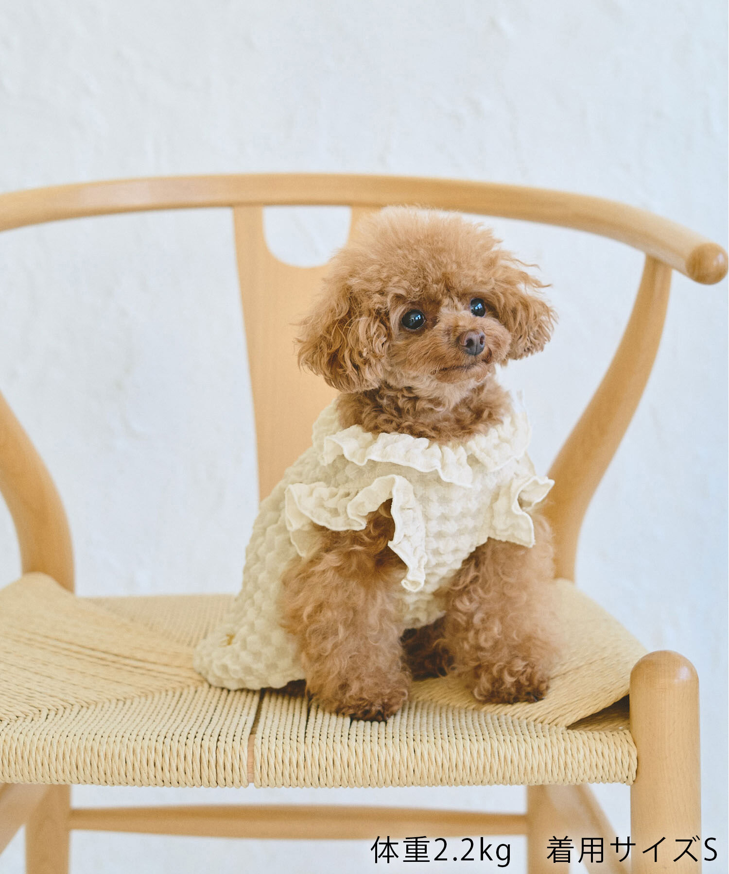 ROPE PICNIC PASSAGE「【DOG】ぽこぽこギャザーワンピース」|その他|