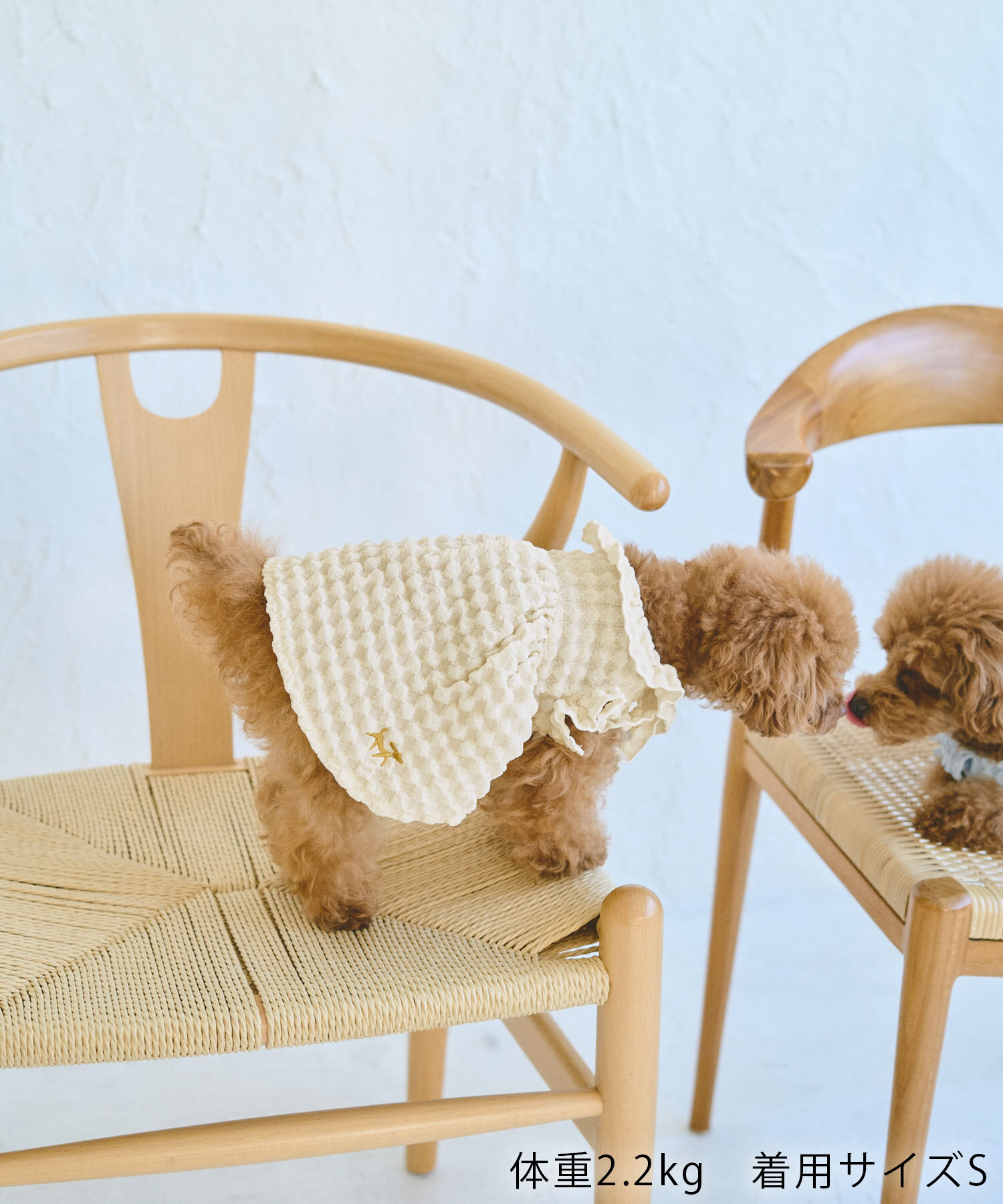 ROPE PICNIC PASSAGE「【DOG】ぽこぽこギャザーワンピース」|その他|