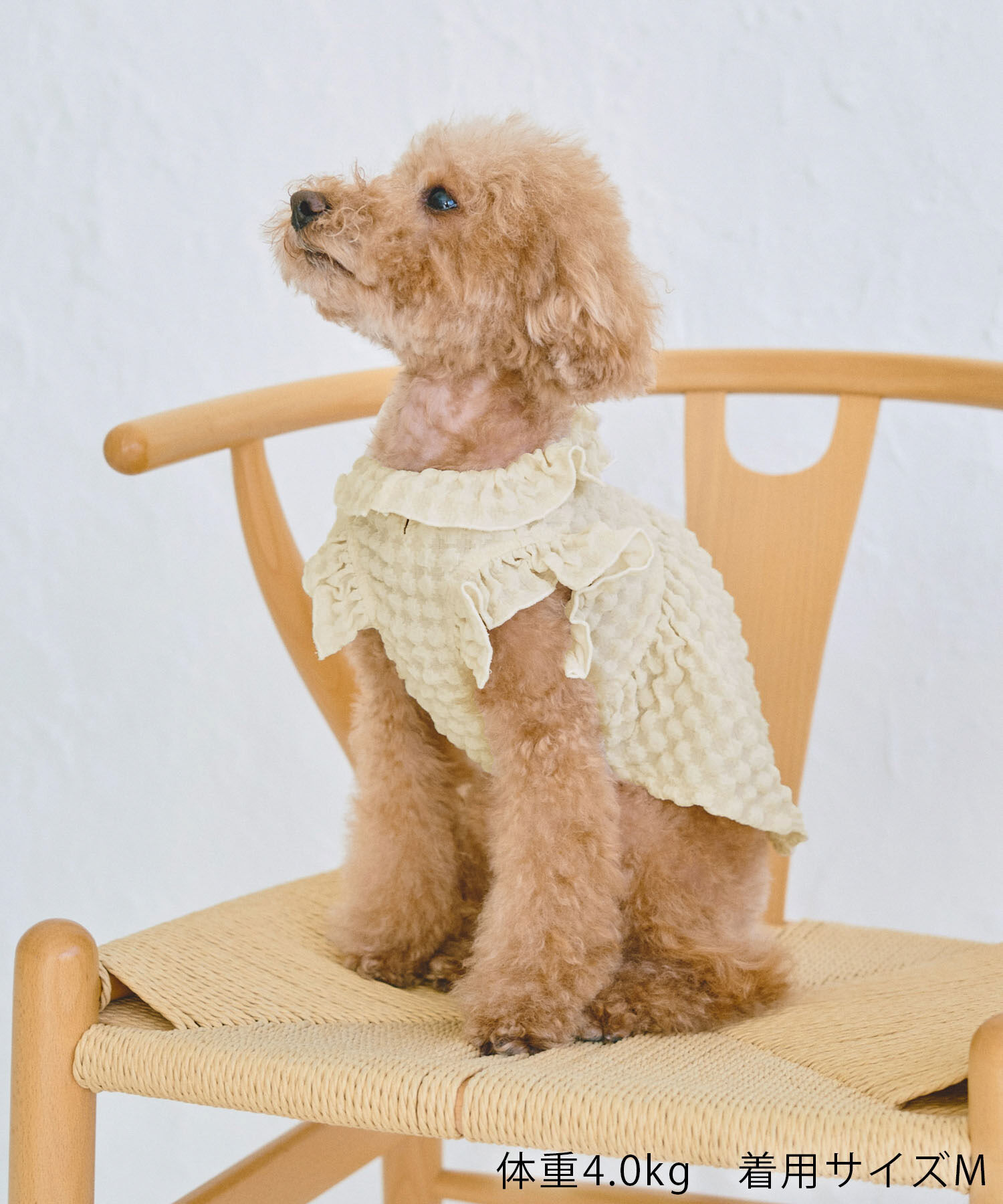 ROPE PICNIC PASSAGE「【DOG】ぽこぽこギャザーワンピース」|その他|