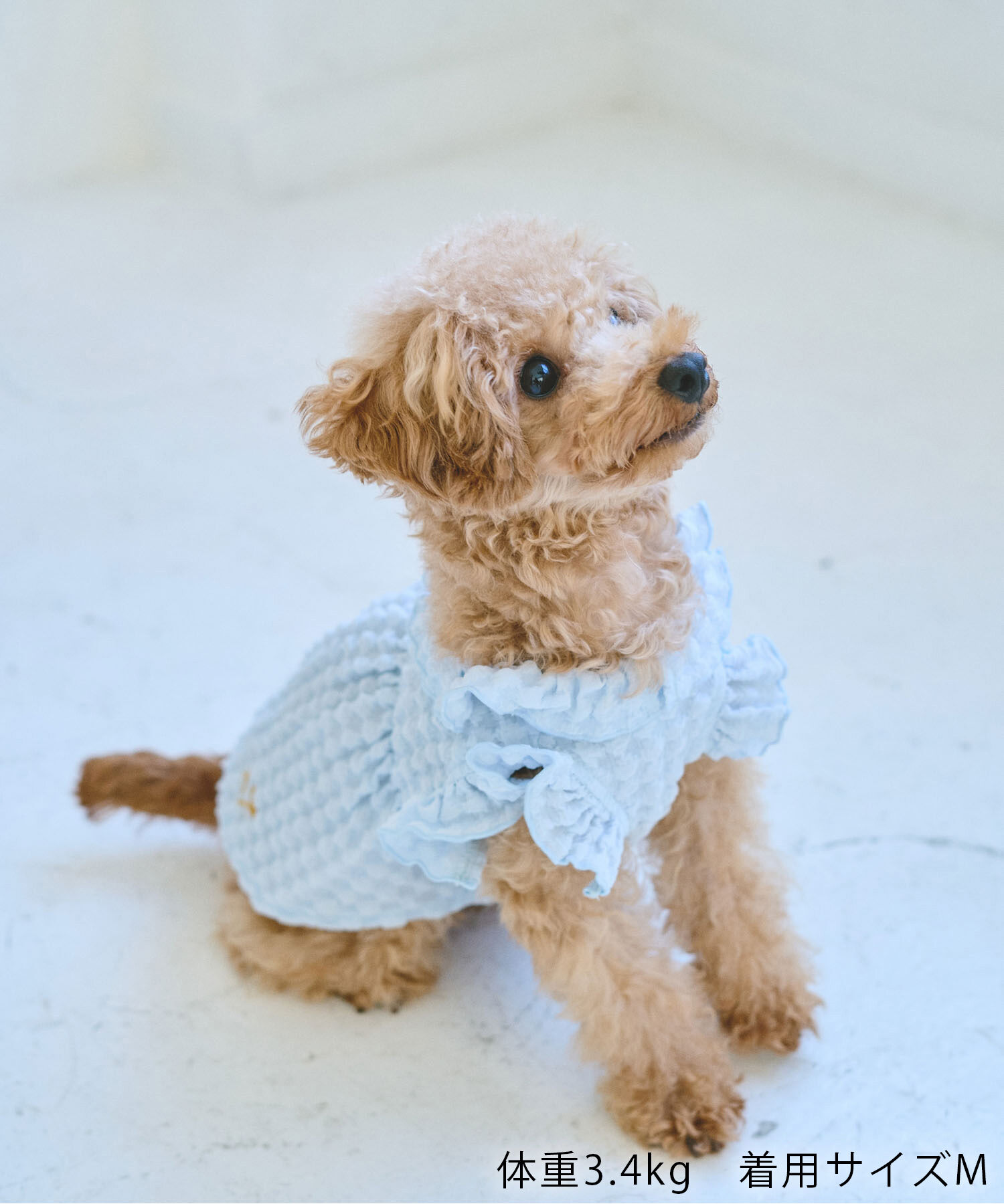 ROPE PICNIC PASSAGE「【DOG】ぽこぽこギャザーワンピース」|その他|