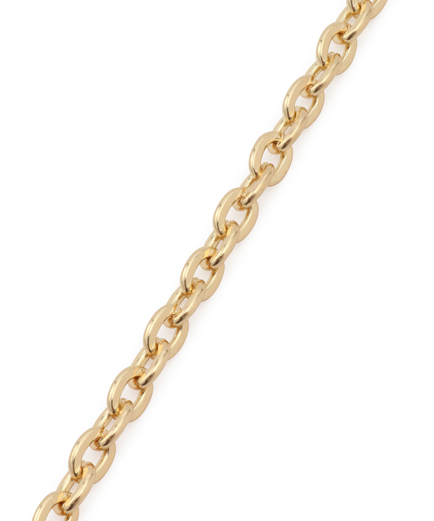 ROPE PICNIC PASSAGE「変型メタルチェーンショルダーストラップ」|その他|