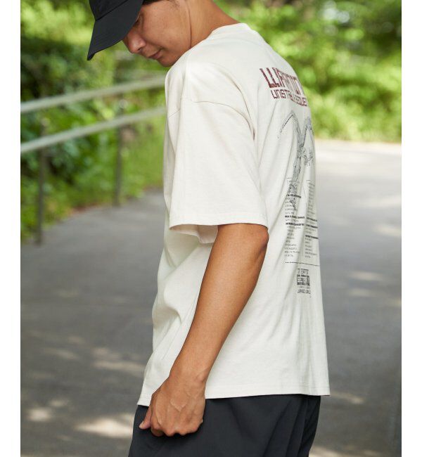 VENCE share style「JURASSIC PARK ジュラシック・パーク プリントTシャツ」|Tシャツ・カットソー|