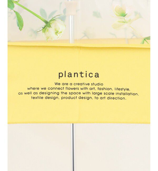 ANY SIS「【WEB・一部店舗限定】フラワープラスティック アンブレラ」|傘|