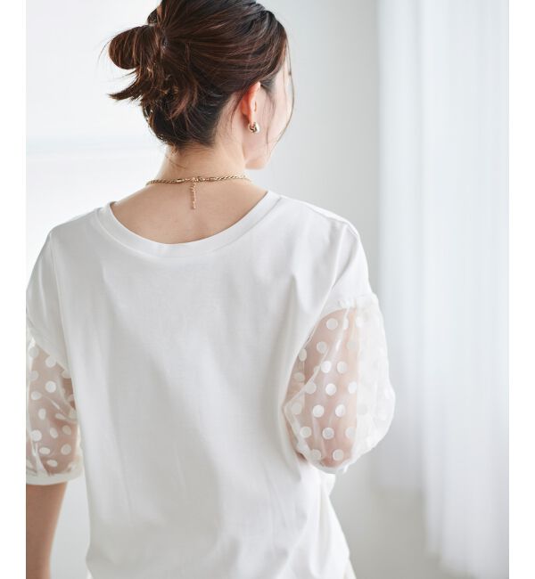 le.coeur blanc「《手洗い可能》TORRAZZO DONNAドット切替カットソー」|Tシャツ・カットソー|