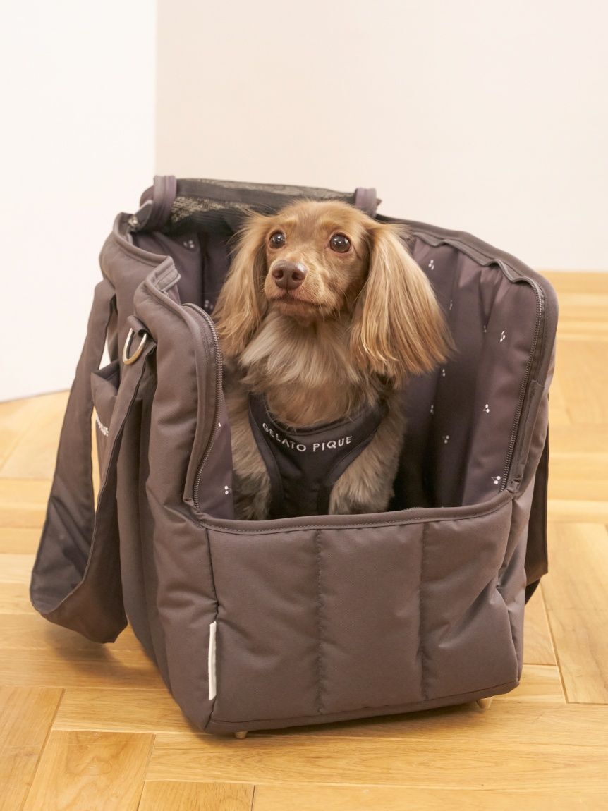  GELATO PIQUE CAT&DOG「【CAT&DOG】背中あきハーネス」|その他|