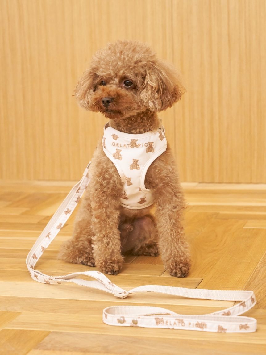  GELATO PIQUE CAT&DOG「【CAT&DOG】背中あきハーネス」|その他|