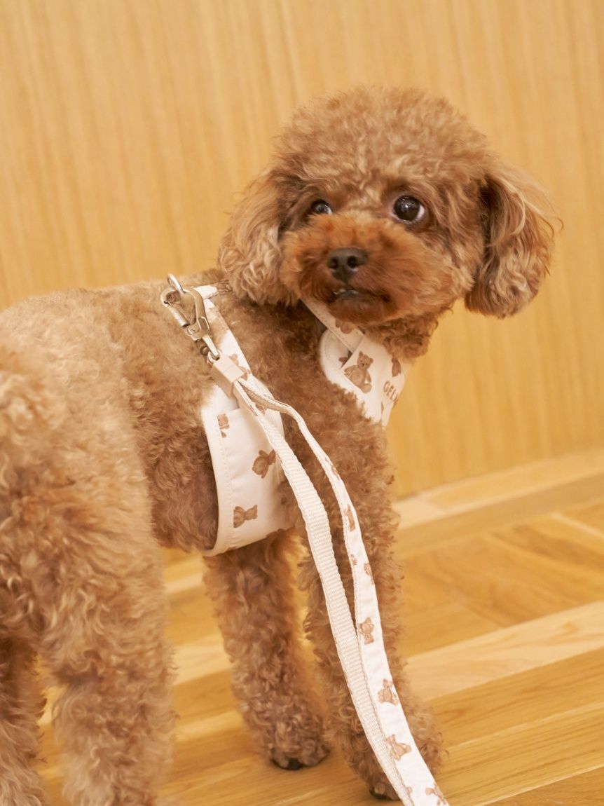  GELATO PIQUE CAT&DOG「【CAT&DOG】背中あきハーネス」|その他|